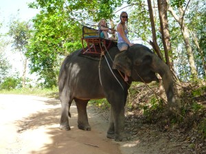 Natalie the Elephant eating