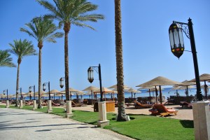 The view of the beach from the pathway