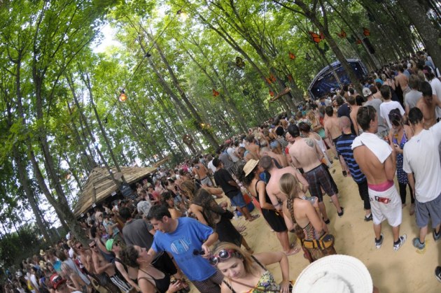 The Hidden Woods, taken by Mark Falmouth Photography