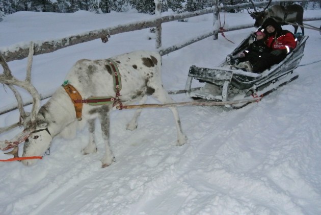 My Daughter and I in our Reindeer Sleigh